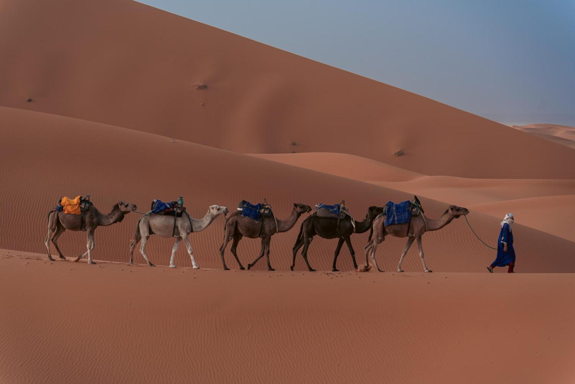 Готель Sahara Dream Luxury Camp Мерзуга Екстер'єр фото