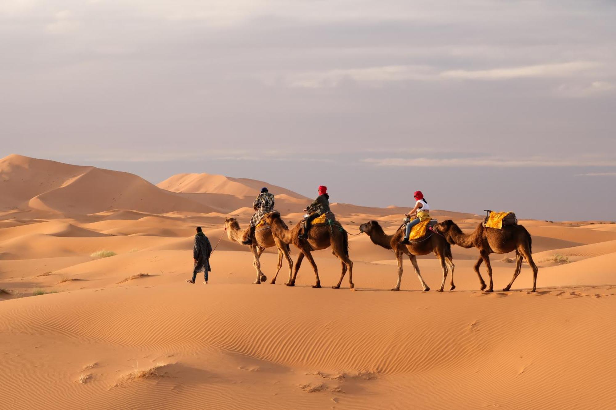 Готель Sahara Dream Luxury Camp Мерзуга Екстер'єр фото